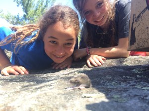 Meeting Hubert the Mouse