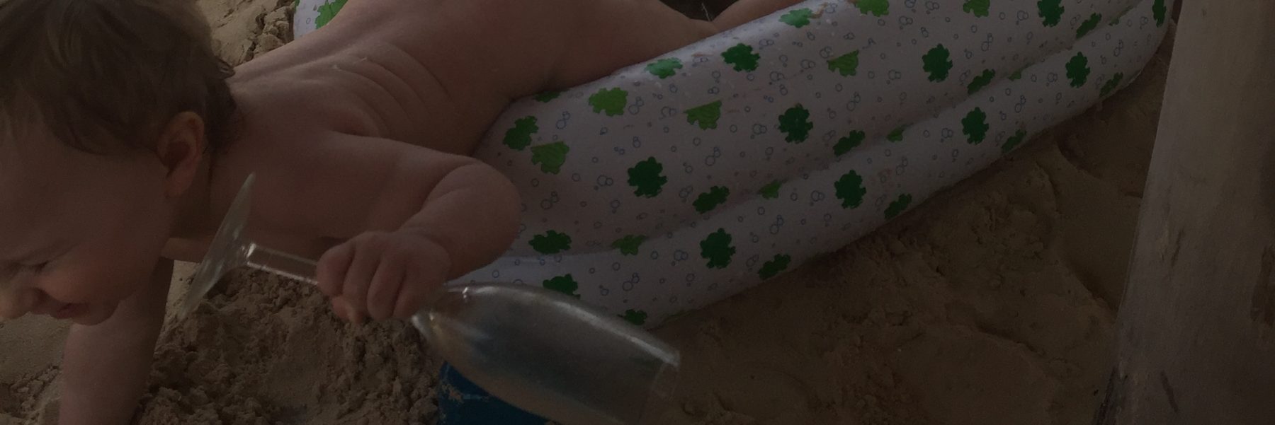 Life Coordinator ~ Anna